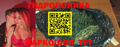 гашик Кулебаки