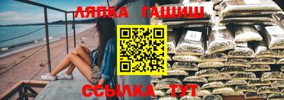 гашик Кулебаки
