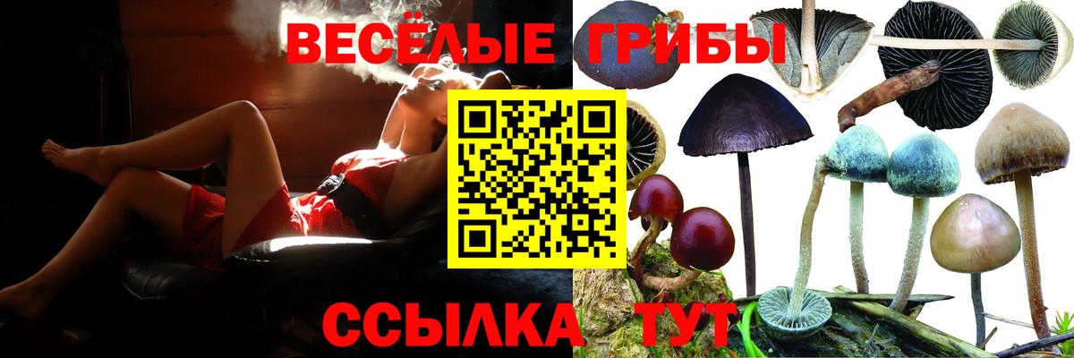 Улан-Удэ  Псилоцибиновые грибы Magic Shrooms  Вход с VPN 